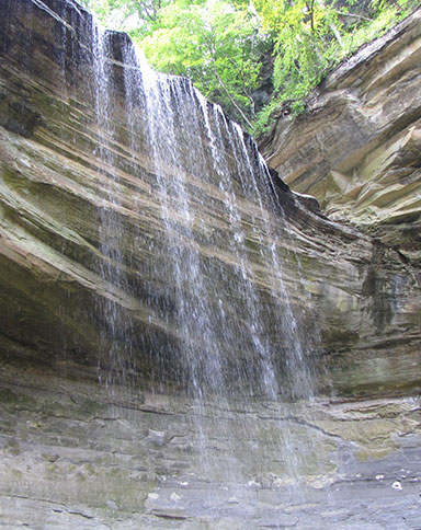 belterra area attractions image